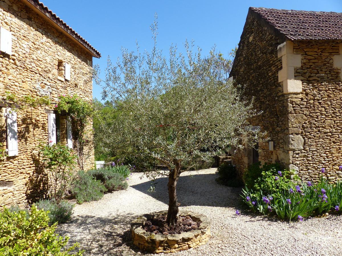 Chambres D'Hotes Les Boudines Saint-Germain-de-Belves Екстер'єр фото