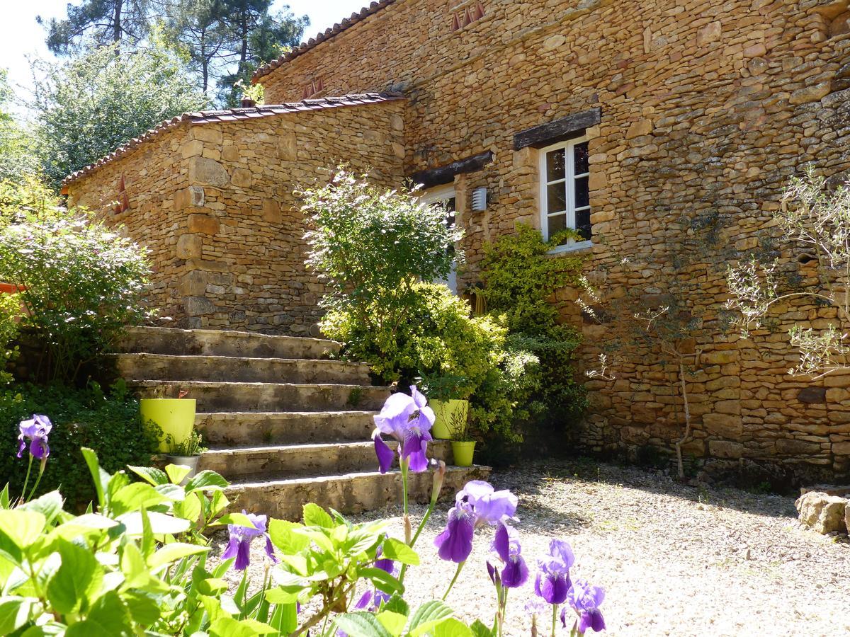 Chambres D'Hotes Les Boudines Saint-Germain-de-Belves Екстер'єр фото